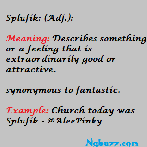 Meaning of Spufik